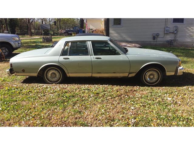 1981 Chevrolet Caprice (CC-1682208) for sale in Lawrence, Kansas