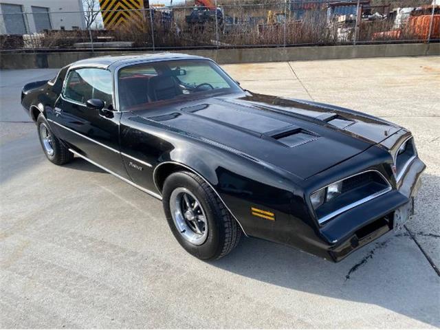 1978 Pontiac Firebird for Sale | ClassicCars.com | CC-1682292