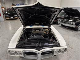 1969 Pontiac Firebird Trans Am (CC-1682775) for sale in Addison, Illinois