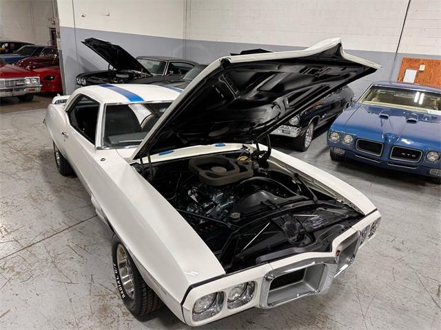 1969 Pontiac Firebird Trans Am (CC-1682775) for sale in Addison, Illinois
