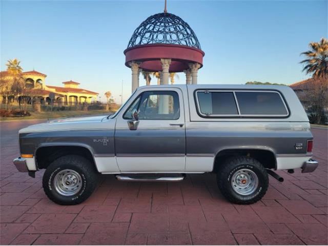 1988 Chevrolet Blazer (CC-1683086) for sale in Cadillac, Michigan
