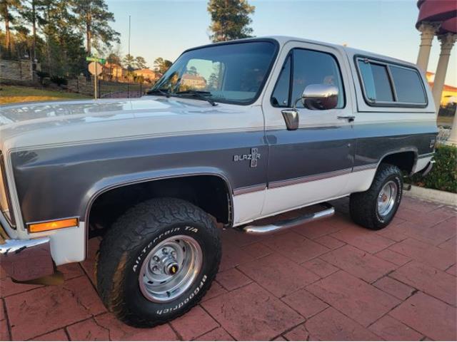 1988 Chevrolet Blazer (CC-1683086) for sale in Cadillac, Michigan
