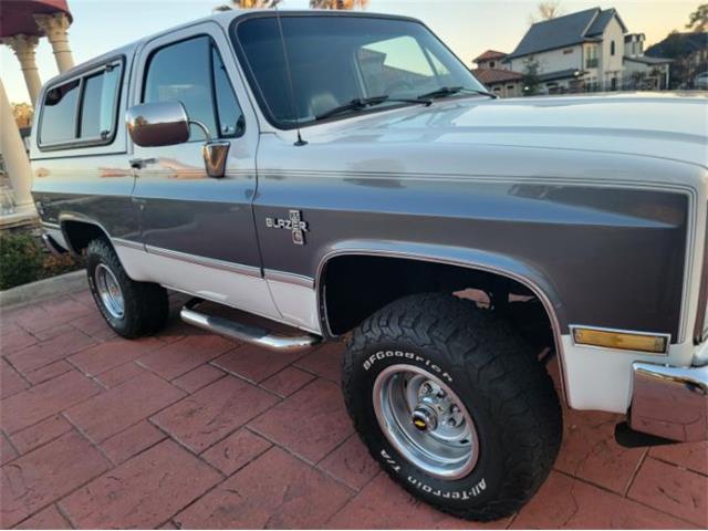 1988 Chevrolet Blazer (CC-1683086) for sale in Cadillac, Michigan