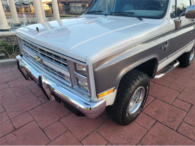 1988 Chevrolet Blazer (CC-1683086) for sale in Cadillac, Michigan