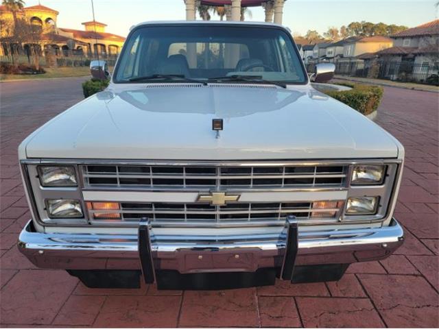 1988 Chevrolet Blazer (CC-1683086) for sale in Cadillac, Michigan