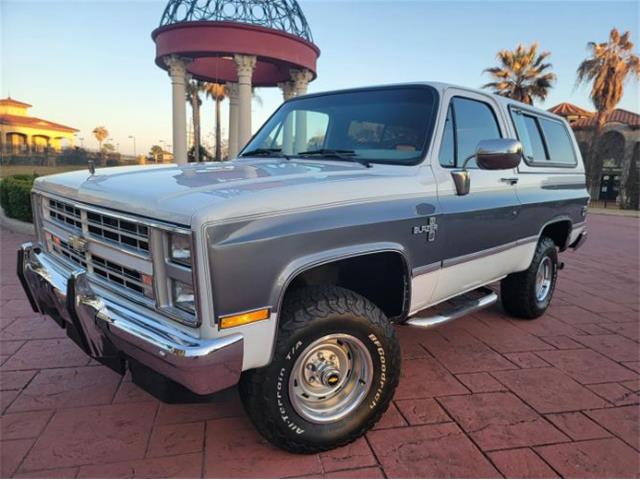 1988 Chevrolet Blazer (CC-1683086) for sale in Cadillac, Michigan