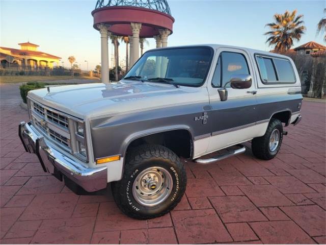 1988 Chevrolet Blazer (CC-1683086) for sale in Cadillac, Michigan