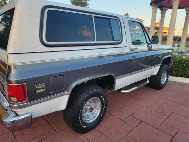 1988 Chevrolet Blazer (CC-1683086) for sale in Cadillac, Michigan