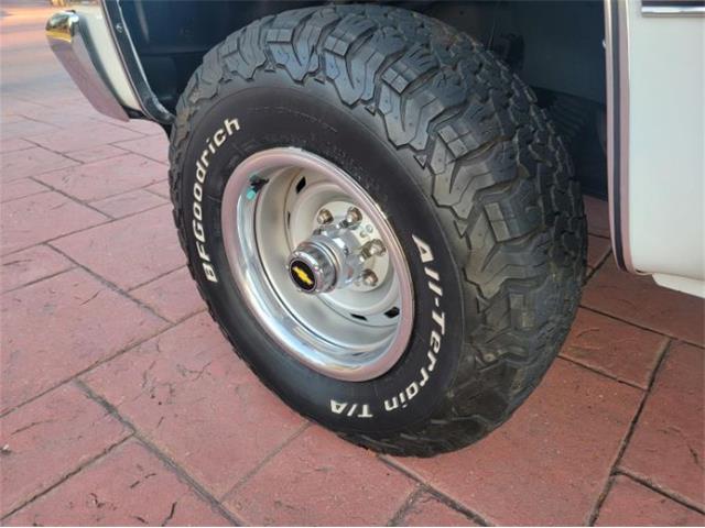 1988 Chevrolet Blazer (CC-1683086) for sale in Cadillac, Michigan