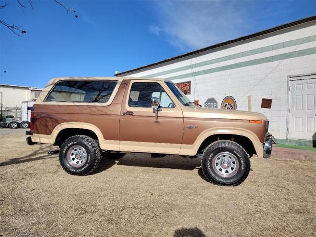 1985 Ford Bronco (CC-1683137) for sale in Ft. McDowell, Arizona