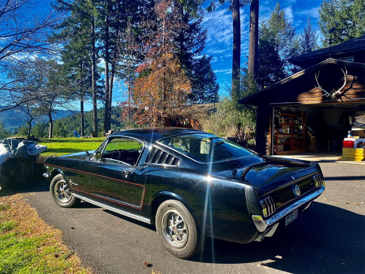 1966 Ford Mustang in Garberville, California