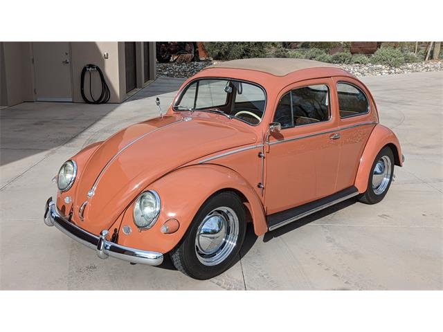 1957 Volkswagen Beetle (CC-1683500) for sale in Cave Creek, Arizona