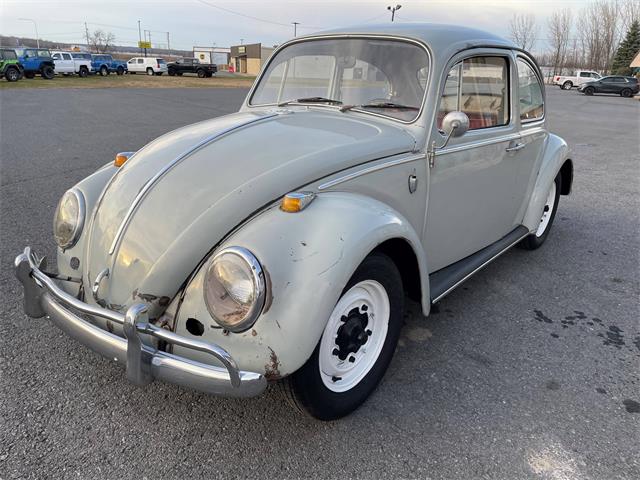 1965 Volkswagen Beetle (CC-1683726) for sale in Lakeland, Florida