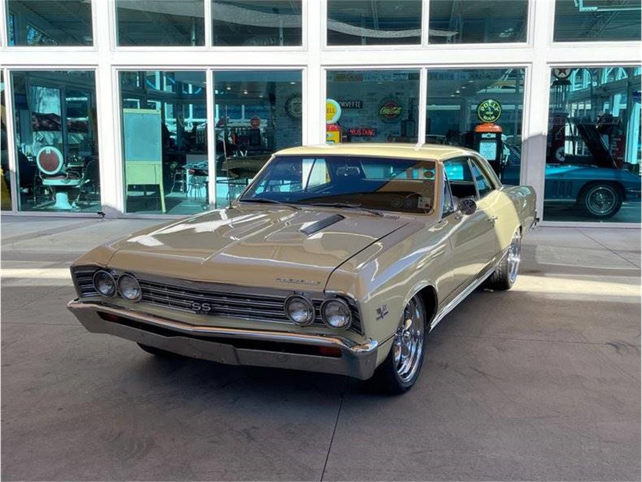 1967 Chevrolet Chevelle SS for Sale | ClassicCars.com | CC-1683729