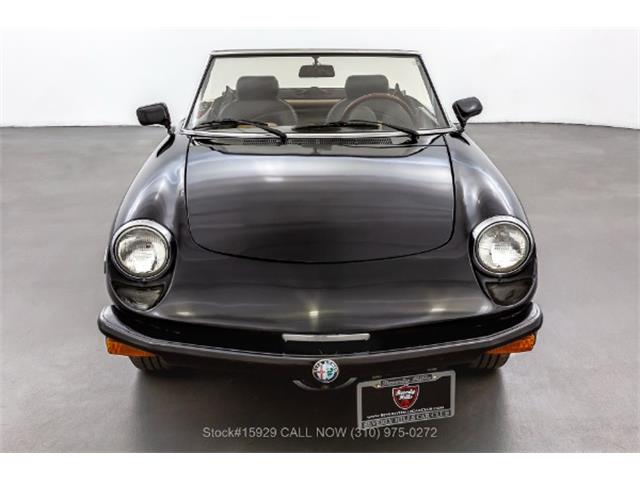 1979 Alfa Romeo 2000 Spider Veloce (CC-1683816) for sale in Beverly Hills, California