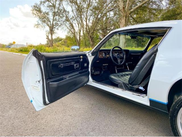 1977 Pontiac Firebird (CC-1684196) for sale in Cadillac, Michigan