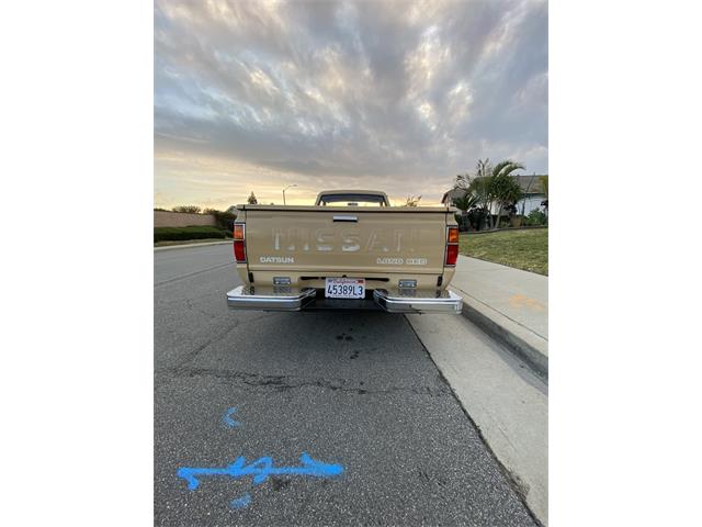 1984 Datsun 720 (CC-1684410) for sale in Walnut , California