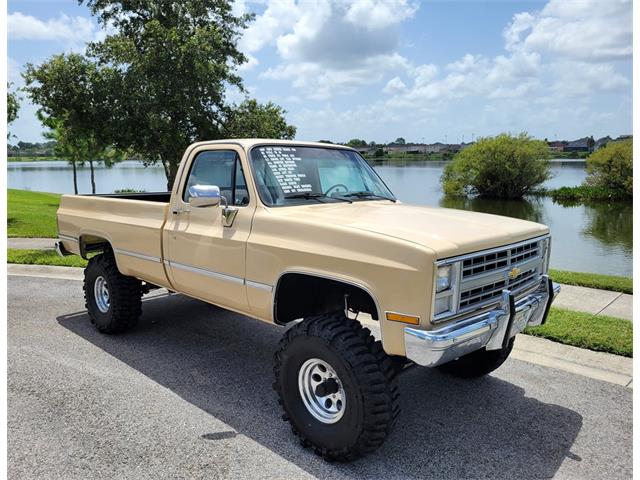 1987 Chevrolet Custom (CC-1684500) for sale in Tampa, Florida