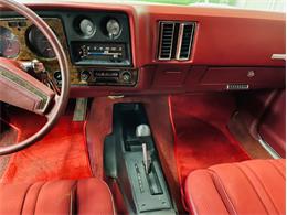 1973 Chevrolet Monte Carlo (CC-1684779) for sale in Mundelein, Illinois