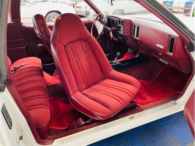 1973 Chevrolet Monte Carlo (CC-1684779) for sale in Mundelein, Illinois