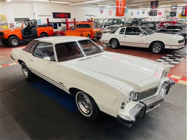 1973 Chevrolet Monte Carlo (CC-1684779) for sale in Mundelein, Illinois