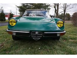 1977 Alfa Romeo Spider Veloce (CC-1685063) for sale in Monroe Township, New Jersey
