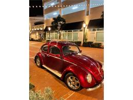 1961 Volkswagen Beetle (CC-1685152) for sale in Cadillac, Michigan