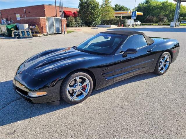 1999 Chevrolet Corvette for Sale | ClassicCars.com | CC-1685209