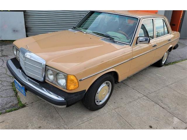 1978 Mercedes-Benz 300D (CC-1686019) for sale in Cadillac, Michigan