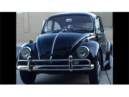 1967 Volkswagen Beetle (CC-1686261) for sale in Phoenix , Arizona