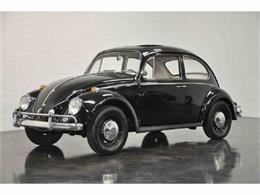 1967 Volkswagen Beetle (CC-1686261) for sale in Phoenix , Arizona