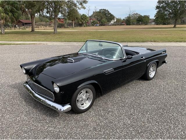 1955 Ford Thunderbird (CC-1686385) for sale in Clearwater, Florida