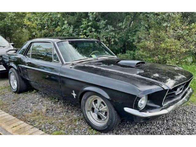 1967 Ford Mustang (CC-1688297) for sale in Cadillac, Michigan