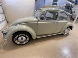 1965 Volkswagen Beetle (CC-1689360) for sale in LONGMONT, Colorado