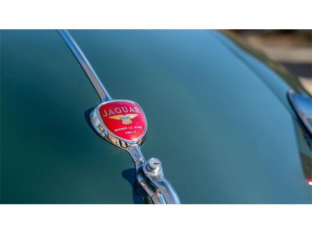 1956 Jaguar XK (CC-1689468) for sale in Amelia Island, Florida
