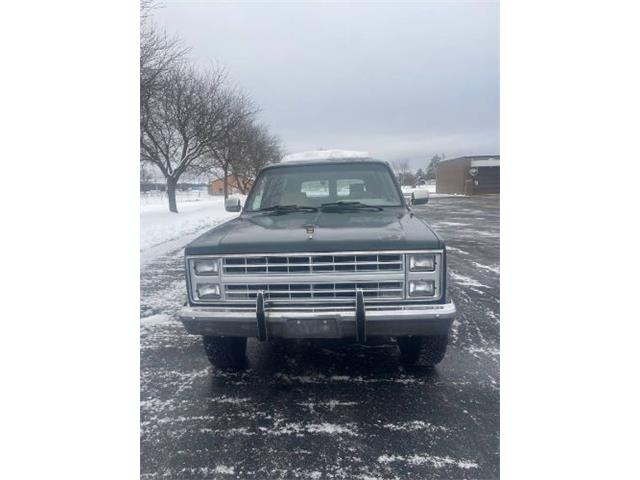1984 Chevrolet Suburban (CC-1689868) for sale in Cadillac, Michigan