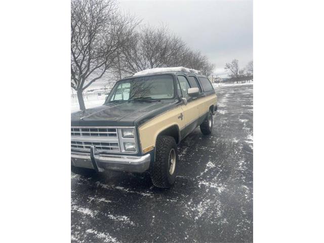 1984 Chevrolet Suburban (CC-1689868) for sale in Cadillac, Michigan
