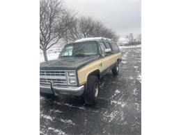 1984 Chevrolet Suburban (CC-1689868) for sale in Cadillac, Michigan