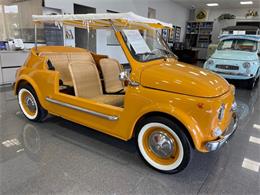1969 Fiat 500 (CC-1689894) for sale in Jacksonville, Florida