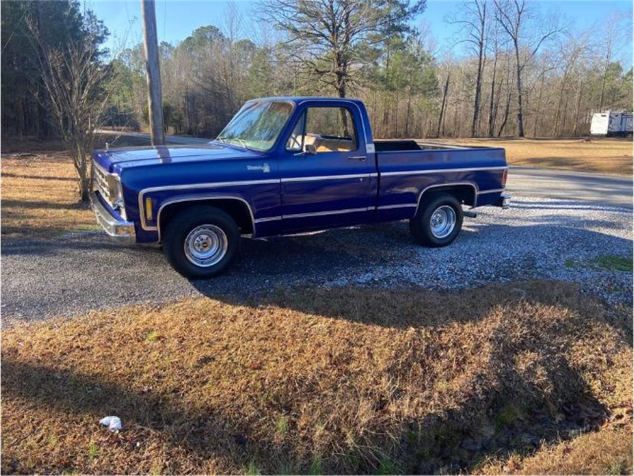 1977 Chevrolet C10 for Sale | ClassicCars.com | CC-1691241