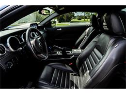 2007 Ford Mustang Shelby Super Snake (CC-1691391) for sale in Goose Creek, South Carolina