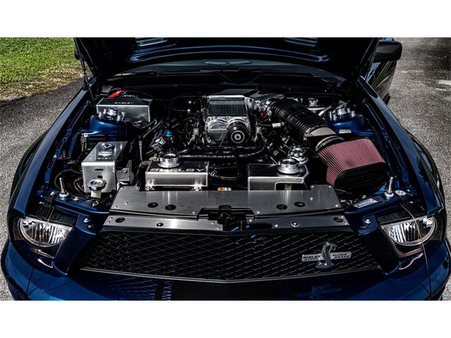 2007 Ford Mustang Shelby Super Snake (CC-1691391) for sale in Goose Creek, South Carolina