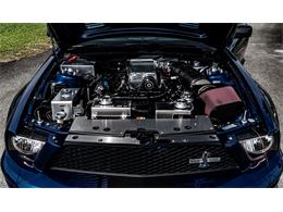 2007 Ford Mustang Shelby Super Snake (CC-1691391) for sale in Goose Creek, South Carolina
