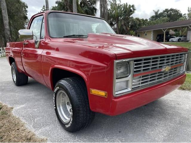 1987 Chevrolet C10 (CC-1692246) for sale in Cadillac, Michigan