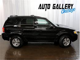 2007 Ford Escape (CC-1692367) for sale in Addison, Illinois