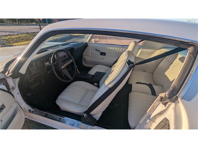 1976 Pontiac Firebird (CC-1693198) for sale in Hamilton, Ontario