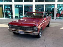 1967 Chevrolet Nova (CC-1693292) for sale in Palmetto, Florida