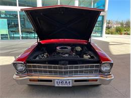 1967 Chevrolet Nova (CC-1693292) for sale in Palmetto, Florida