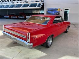 1967 Chevrolet Nova (CC-1693292) for sale in Palmetto, Florida