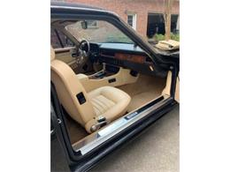 1988 Jaguar XJSC (CC-1693539) for sale in Cadillac, Michigan